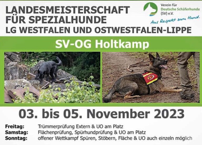 RH Landesmeisterschaft der LG06+LG07 am 3.-5. November 2023 in Holtkamp und Pokalkampf